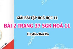 Giải bài 2 trang 37 SGK Hoá 11: Amoniac và muối Amoni
